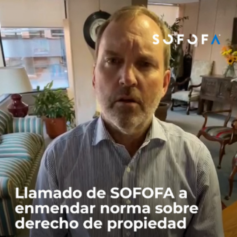 Llamado de SOFOFA a enmendar norma sobre derecho de propiedad