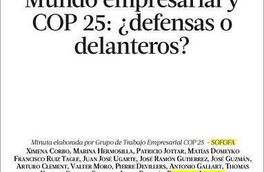 Columna La Tercera – Mundo empresarial y COP25: ¿Defensas o Delanteros?