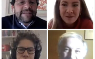 Nueva vicepresidenta de SOFOFA participa en webinar sobre la “reactivación sostenible”