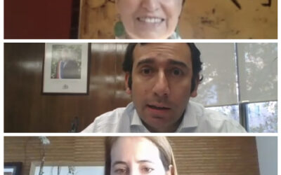 Empresas socias de la ReIN conversaron con el subsecretario del Trabajo, Fernando Arab sobre inclusión laboral y teletrabajo en tiempos de pandemia