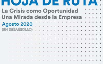 Hoja de Ruta: La crisis como oportunidad, una mirada desde la empresa (agosto 2020)