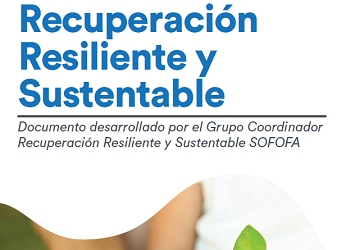 Descarga el Documento Recuperación Resiliente y Sustentable