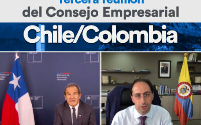 Consejo Empresarial Chile – Colombia abordó acciones que deben desarrollar las empresas para apoyar la recuperación económica post Covid-19