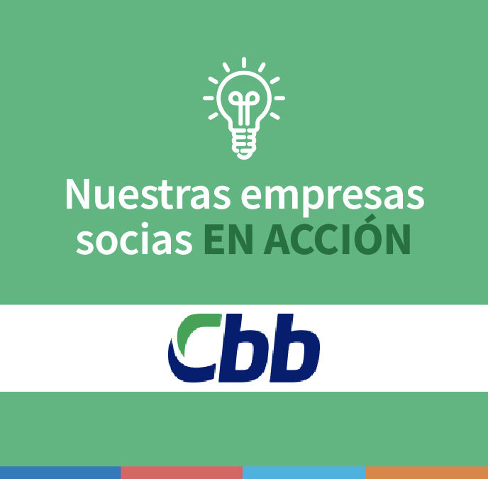 VIDEO▶️: Grupo Cbb remodela paseo peatonal de Teno