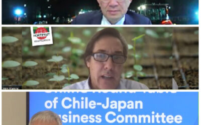 Comité Empresarial Chile – Japón de SOFOFA realizó webinar sobre agricultura inteligente y su impacto en la productividad y sostenibilidad de la industria