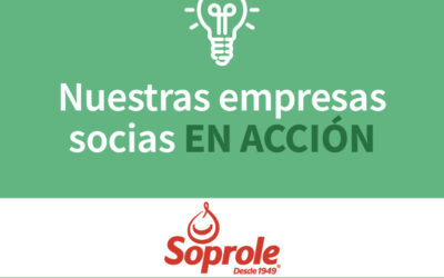 VIDEO ▶️: Conoce la iniciativa de reciclaje de Soprole que termina en uso mobiliario