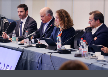 Tema constitucional y nuevas mesas de trabajo marcan el primer Consejo General de Rosario Navarro