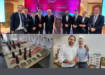 SOFOFA y ProChile se reúnen con autoridades de comercio y sanitarias de la India