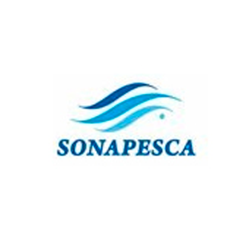 Logo Empresa