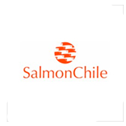 Logo Empresa
