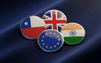SOFOFA impulsa cooperación público-privada con socios clave en Europa e India
