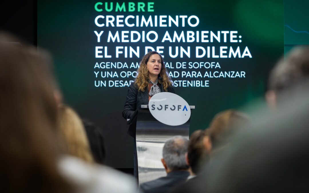 Cumbre SOFOFA: Foco está en destrabar inversión sin bajar estándares ambientales
